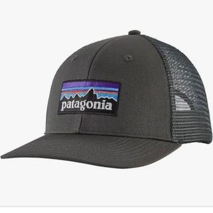 Patagonia logo trucker hat